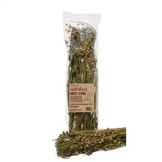 Rosewood Naturals Harvest Festival Small Animal Treat 1 x 80g 19779