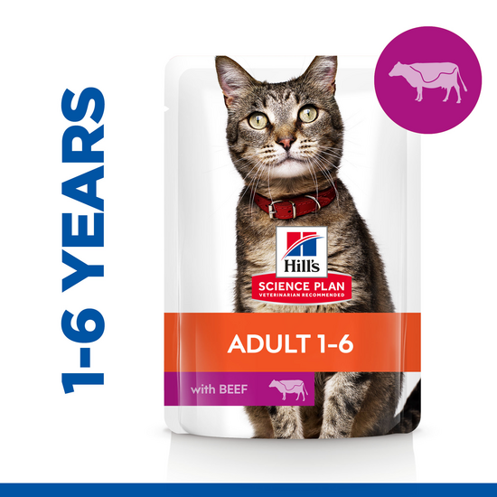 Hill's SCIENCE PLAN Adult Wet Cat Food with Chunks in Gravy with Beef 12 x 85g Pouches 15917