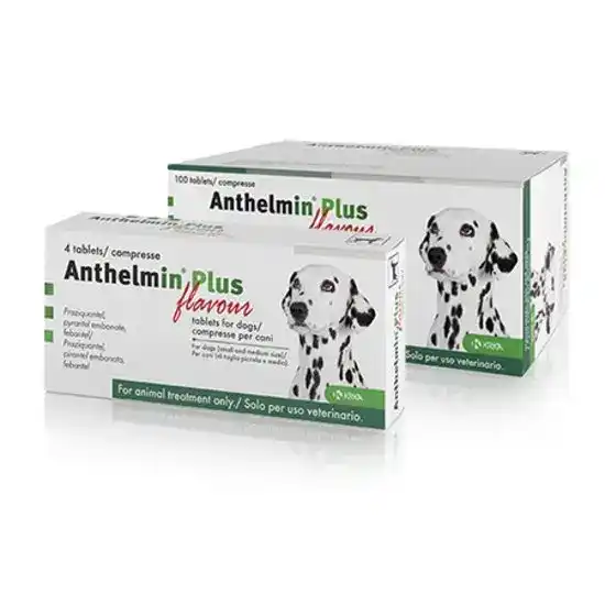 Anthelmin Plus Flavoured Tablets for Small and Medium Dogs 50mg/144mg/150mg 16552