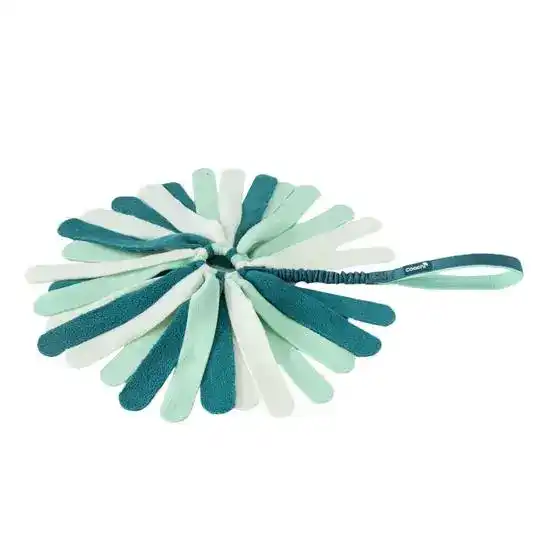 Coachi Puppy & Mini Tuggi Spider Dog Toy Teal & Mint 19614