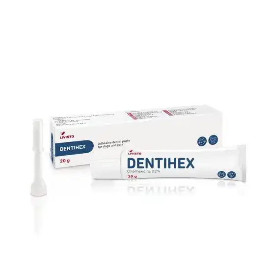 DENTIHEX Adhesive Dental Paste for Dogs and Cats 16837