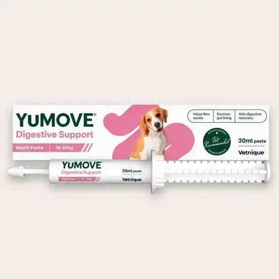 YuMOVE Digestive Care Rapid Pre & Probiotic Paste for Medium Dogs 17609
