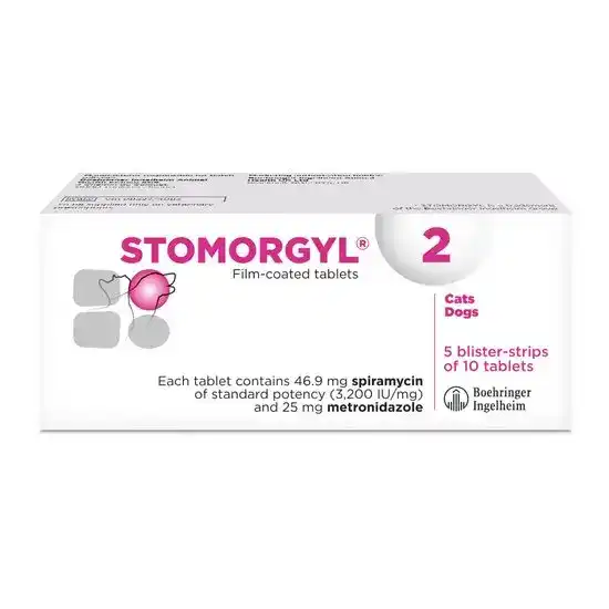 STOMORGYL 2 Film-Coated Tablets for Dogs and Cats 16920