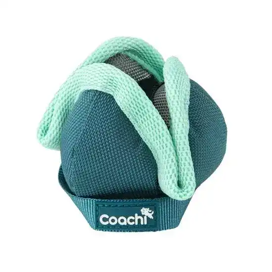 Coachi Puppy & Mini Chase & Treat Dog Toy Teal & Mint 19640
