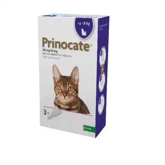 Prinocate Spot-On Solution for Large Cats 80mg/8mg (4kg-8kg) 4673