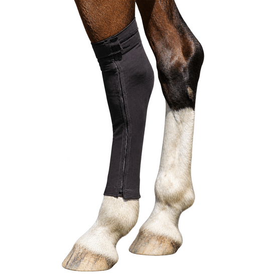 Pressage Bandage Reusable Hock for Horses 21144
