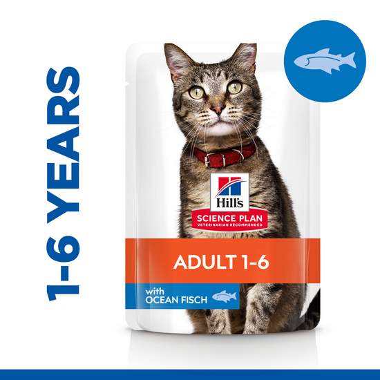 Hill's SCIENCE PLAN Adult Wet Cat Food with Chunks in Gravy with Ocean Fish 12 x 85g Pouches 15915