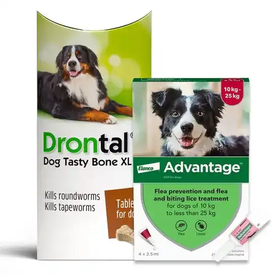 Dogs 20kg-25kg: 3-Month Advantage Spot-On Flea Treatment with Drontal Tablet Worm Treatment 15741