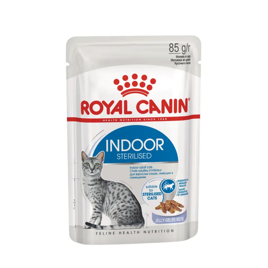 Royal Canin Adult Indoor Sterilised Wet Cat Food in Jelly 12 x 85g Pouches 20226
