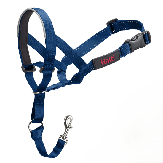 Halti Dog Headcollar Cobalt Blue 18993