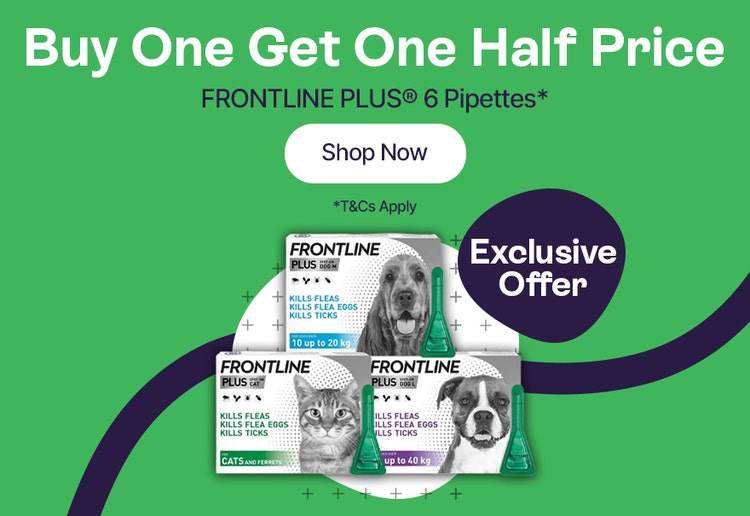 Buy One Get One Half Price - Frontline Plus 6 Pipettes*