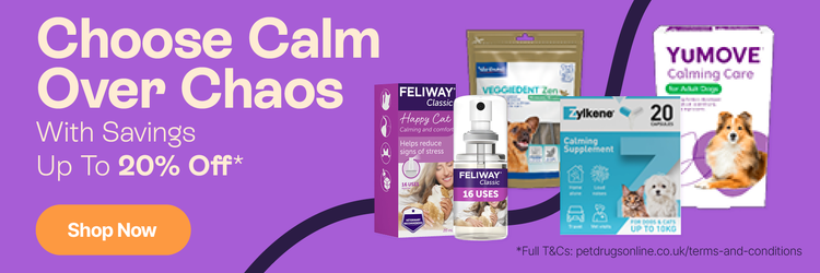Choose Calm Over Chaos With Savings Up To 20% Off
