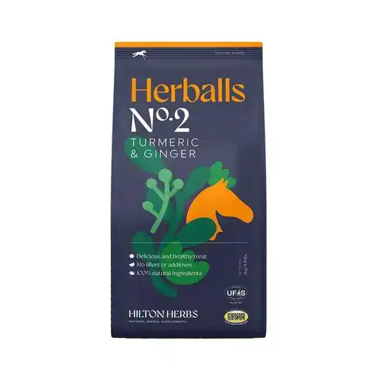 Hilton Herbs Herballs Turmeric and Ginger Horse Treats 19952
