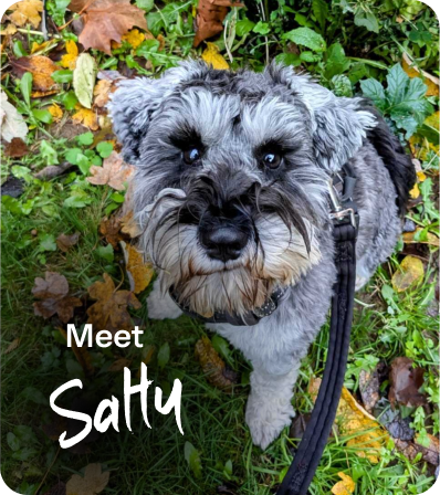Meet Salty