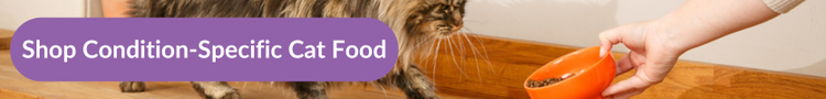 A long-haired brown abby cat walking across the kitchen counter towards an orange bowl of food with overlay text that reads &#34;Shop Condition-specific Cat Food&#34;