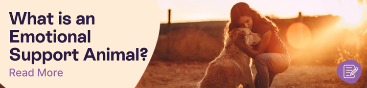 What is an emotional support animal header