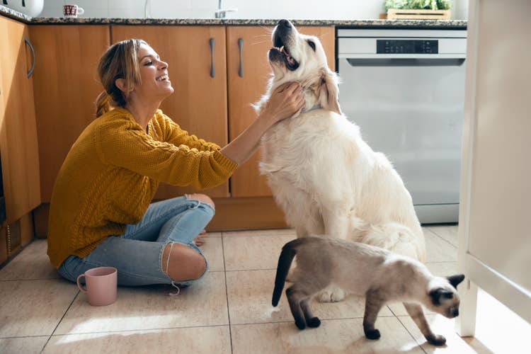 A blonde owner in a yellow jumper sitting on the kitchen floor to make a fuss of her golden retriever while her siamese cat wanders past.