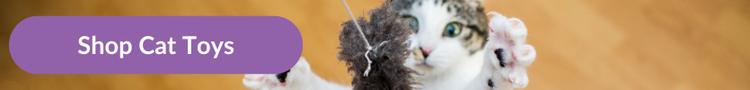 A white and tabby cat excitedly jumping to try catch a feathered toy with their paws with overlay text that reads &#34;Shop Cat Toys&#34;