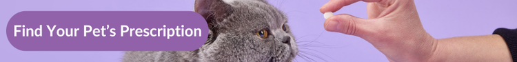 A grey British Short-hair cat being offered a tablet for cats against a purple background with overlay text that reads &#34;Find your Pet&#39;s Prescription&#34;