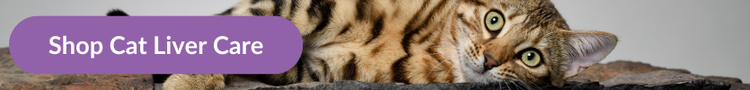 A tabby cat lying on its side looking at the camera with overlay text that reads &#34;Shop Cat Liver Care&#34;