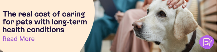 The Real Cost of Caring for Pets with Long-Term Health Conditions