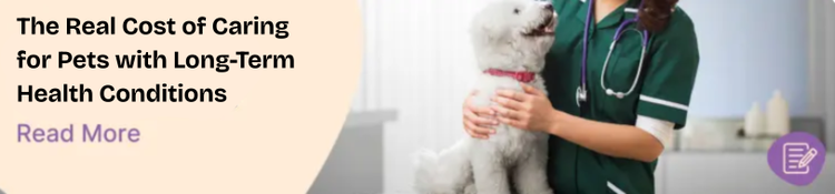 The Real Cost of Caring for Pets with Long-Term Health Conditions