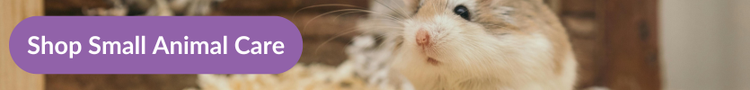 a russian dwarf hamster in their enclosure with overlay text that reads&#34;Shop Small Animal Care&#34;