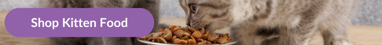 Two grey tabby kittens eating dry kitten food from a stainless steel bowl with overlay text that reads &#34;Shop Kitten Food&#34;