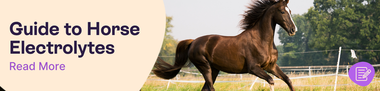 Horse electrolytes