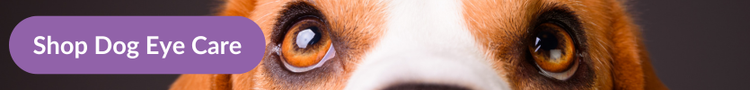 A close up of a beagle&#39;s brown eyes with overlay text that reads &#34;Shop Dog Eye Care&#34;