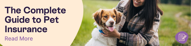 Do you need pet insurance header