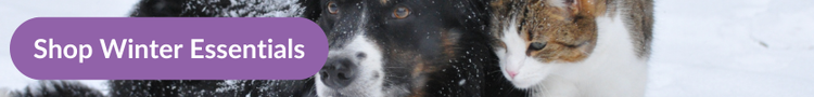 A black and white dog and tabby and white cat in the snow with overlayed text that reads &#39;Shop Winter Essentials&#39;