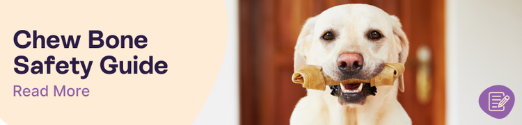 Chew bone safety for dogs header