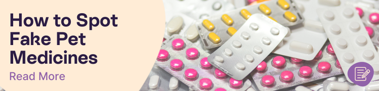 How to Spot Fake Pet Meds Online