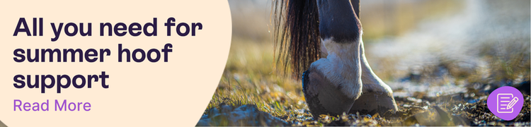 Summer hoof support