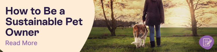 How to Be a Sustainable Pet Owner