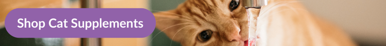 A closeup of a ginger cat drinking from a running tap with overlay text that reads &#34;Shop Cat Supplements&#34;