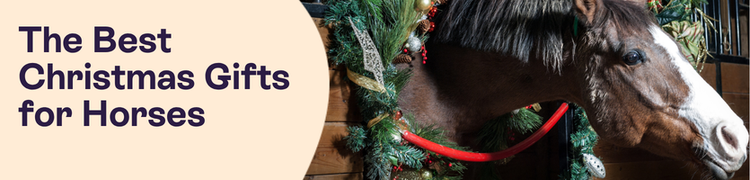Rebrand Blog headers Jan 25 - 2