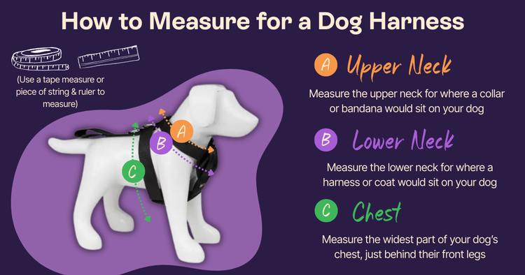 Dog Harness Measurement Chart