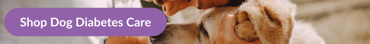 An owner pouching foreheads with their senior labrador with overlay text that reads &#34;Shop Dog Diabetes Care&#34;