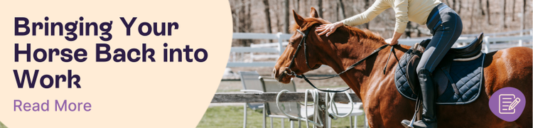 Bringing a horse back to work header