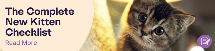 New Kitten Checklist Header