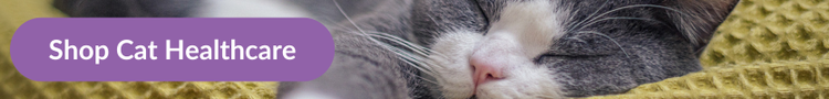 A grey and white domestic shorthair cat sleeping curled up on a yellow blanket with overlay text that reads &#34;Shop cat Healthcare&#34;