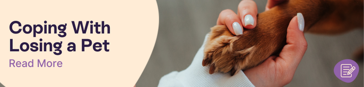 A female's hand holding a red labrador's paw with overlay text that reads "Coping with the loss of a pet"