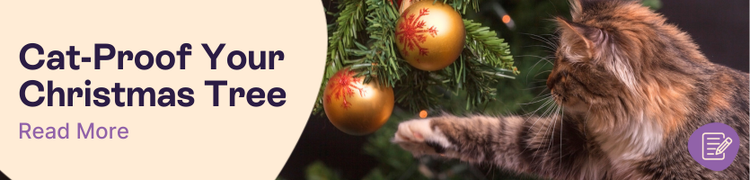 How to Cat-Proof Your Christmas Tree header