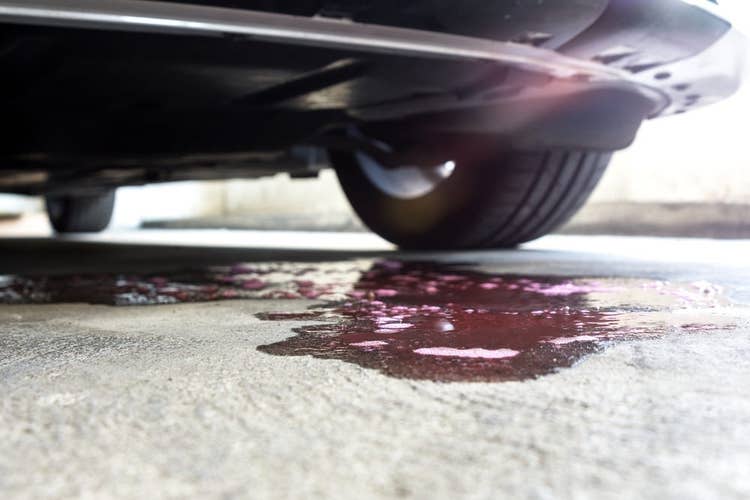 Leaking antifreeze from a car | Antifreeze poisoning in pets