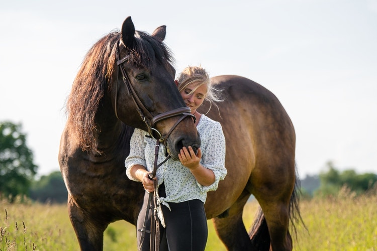 A keeper stroking her horses nose while walking them on-bridle through summer pastures