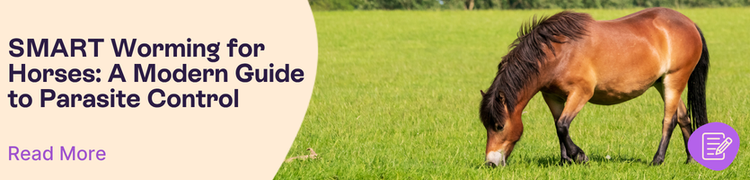 brown horse in green field eating grass