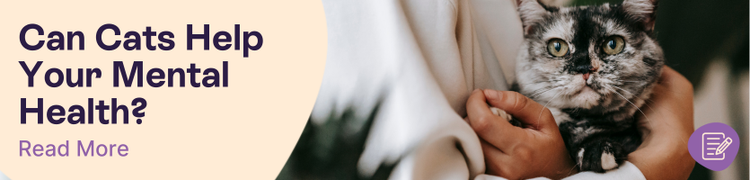 Are Cats good for anxiety header