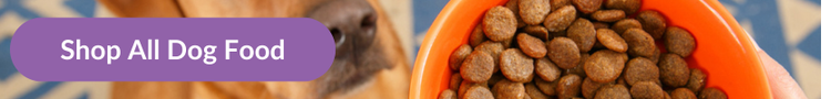 A fox red labrador sitting paitiently for his bowl of dry dog biscuits with overlay text that reads &#34;Shop All Dog Food&#34;